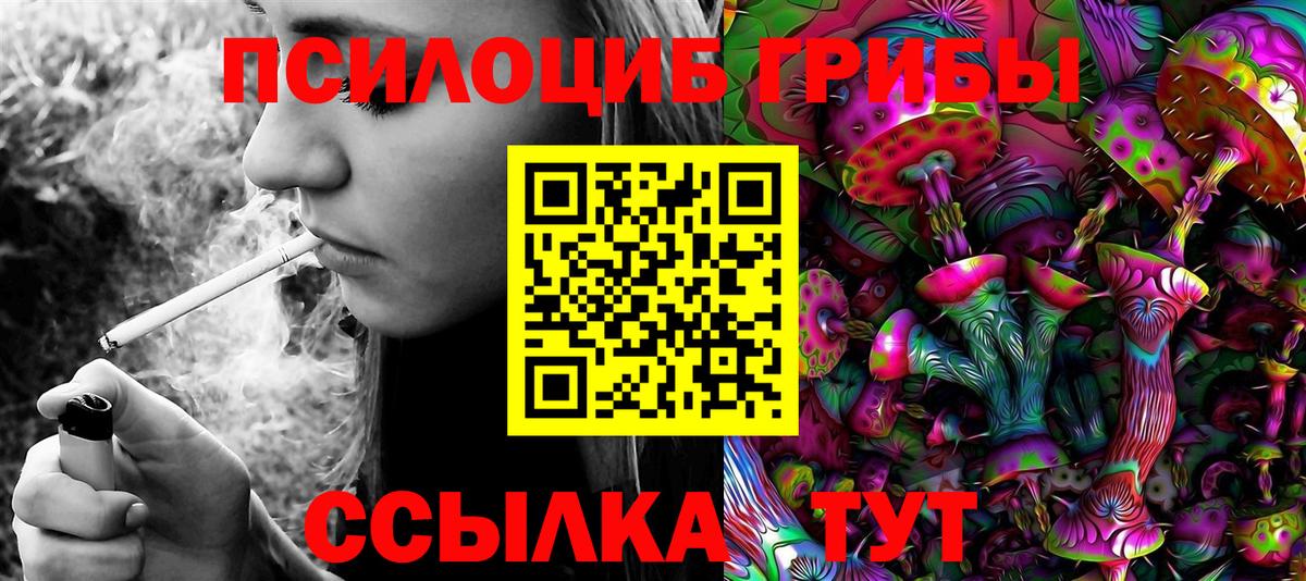 Галлюциногенные грибы мухоморы Новоалександровск